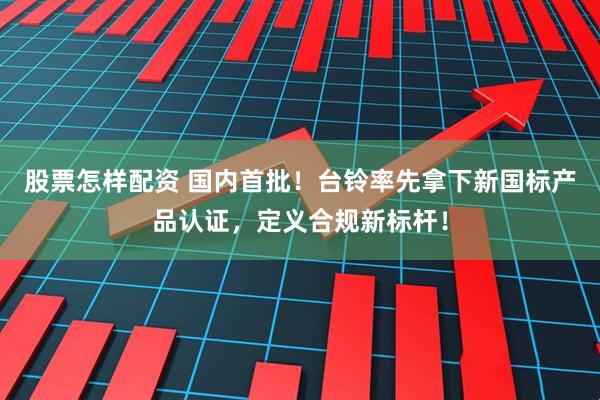 股票怎样配资 国内首批！台铃率先拿下新国标产品认证，定义合规新标杆！