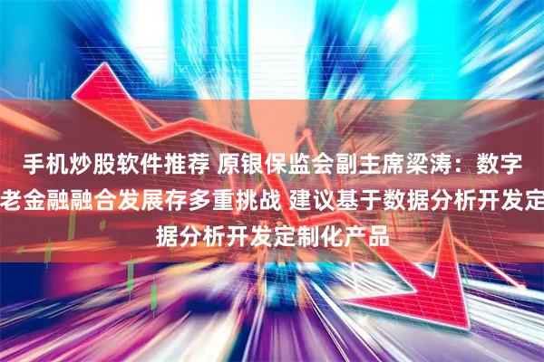 手机炒股软件推荐 原银保监会副主席梁涛：数字金融与养老金融融合发展存多重挑战 建议基于数据分析开发定制化产品