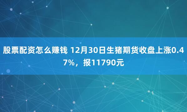 股票配资怎么赚钱 12月30日生猪期货收盘上涨0.47%，报11790元